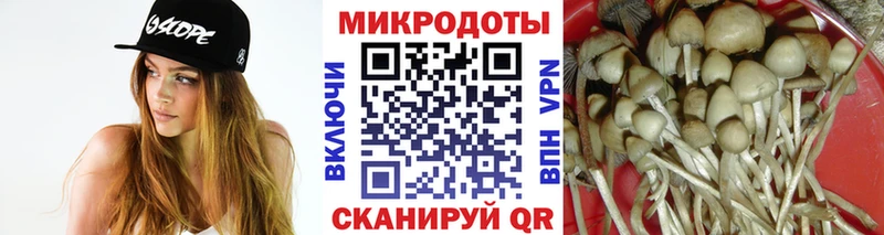 Купить закладки  Грозный  Псилоцибиновые грибы прущие грибы 